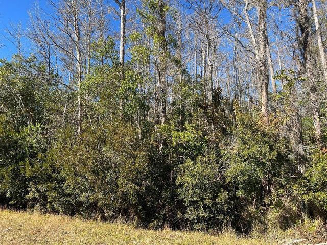 NETHERLAND STREET, Orlando, FL 32833