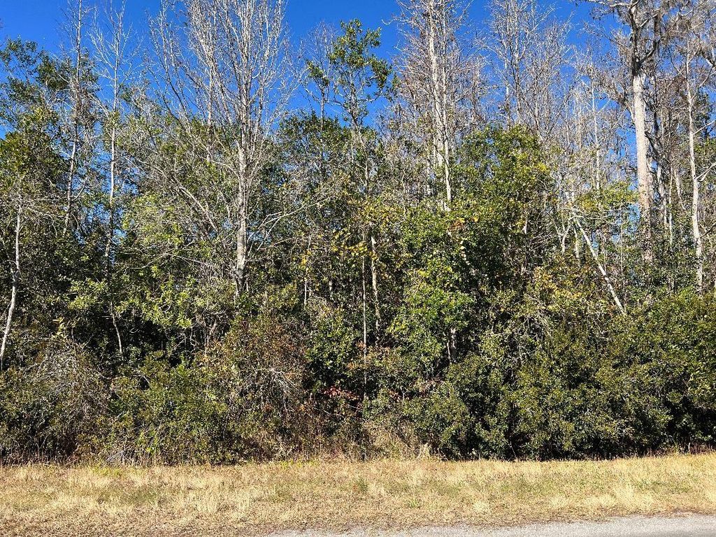 NETHERLAND STREET, Orlando, FL 32833