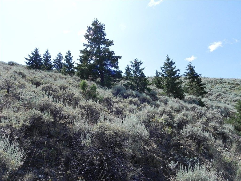 Lot 355 Pole Gulch, Three Forks, MT 59752 photo 2