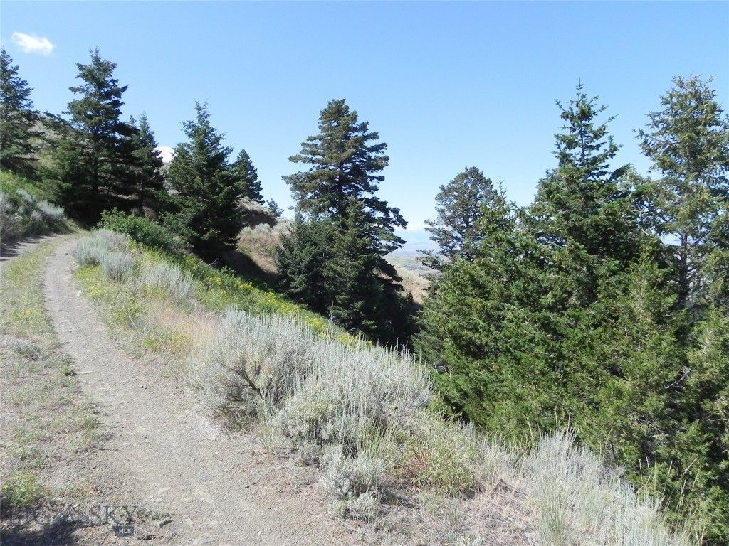 Lot 355 Pole Gulch, Three Forks, MT 59752 photo 4