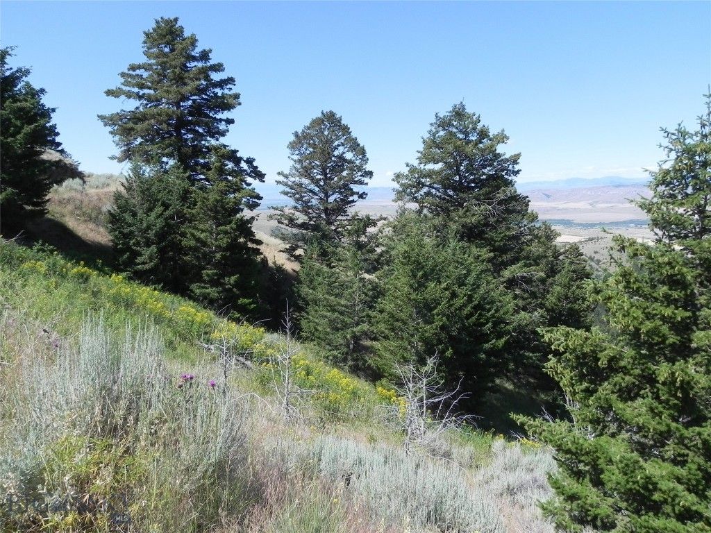 Lot 355 Pole Gulch, Three Forks, MT 59752 photo 6