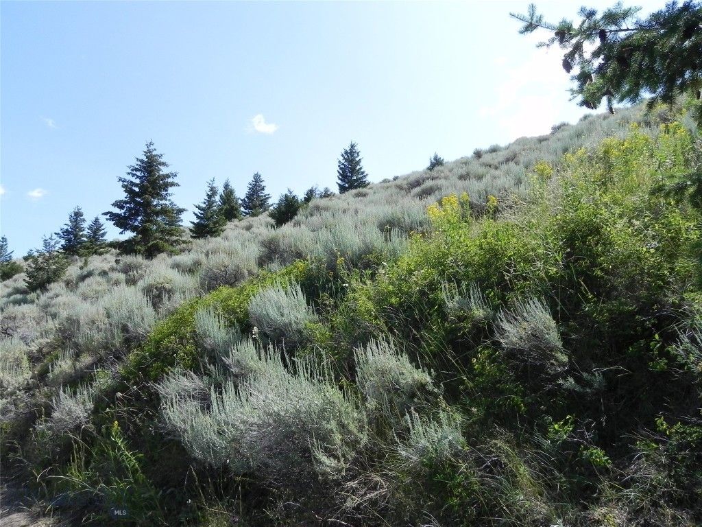 Lot 355 Pole Gulch, Three Forks, MT 59752 photo 7