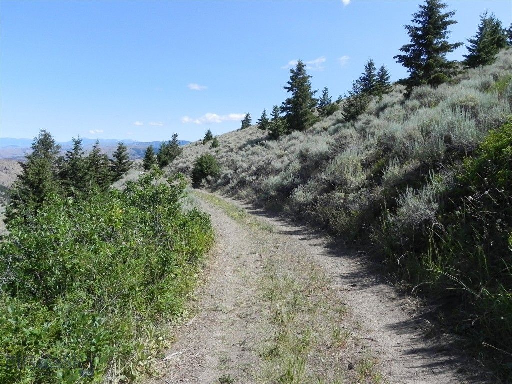 Lot 355 Pole Gulch, Three Forks, MT 59752 photo 9