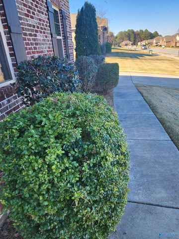 218 Dinner Tree Square, Huntsville, AL 35811