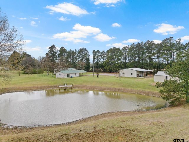 368 County Road 3360, Cookville, TX 75558