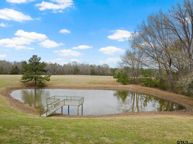 368 County Road 3360, Cookville, TX 75558