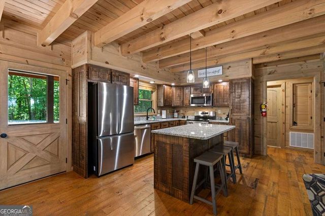 391 Little Bushy Head Road, Blue Ridge, GA 30513