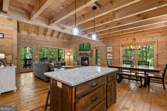 391 Little Bushy Head Road, Blue Ridge, GA 30513