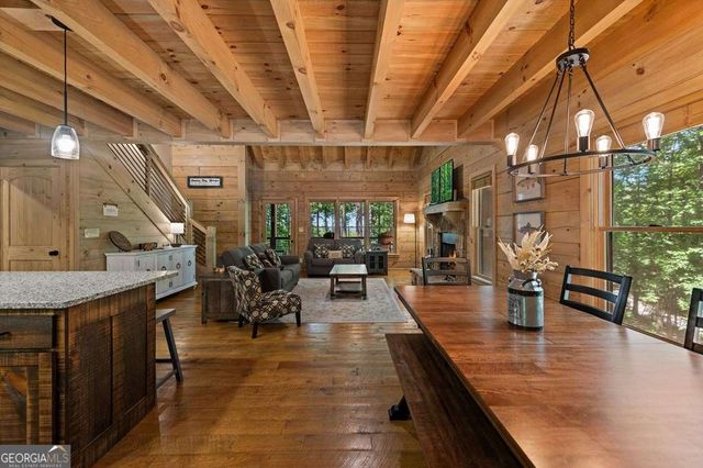 391 Little Bushy Head Road, Blue Ridge, GA 30513
