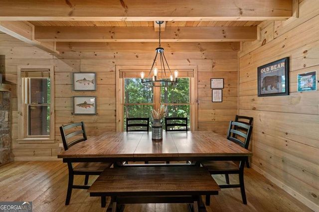 391 Little Bushy Head Road, Blue Ridge, GA 30513