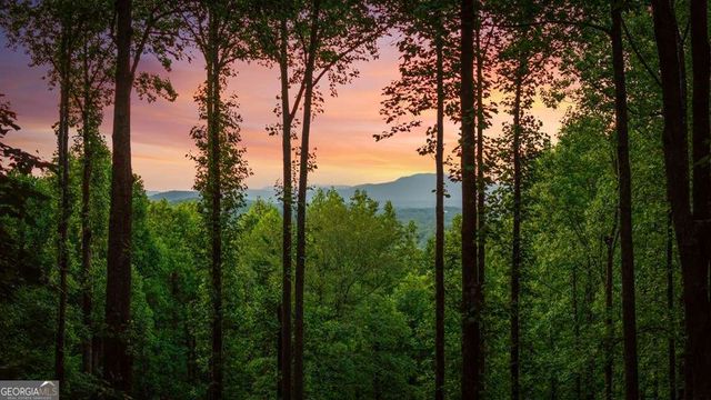 391 Little Bushy Head Road, Blue Ridge, GA 30513