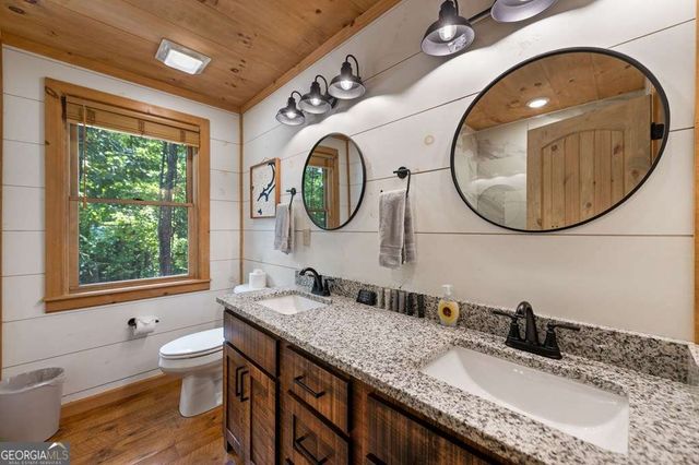 391 Little Bushy Head Road, Blue Ridge, GA 30513