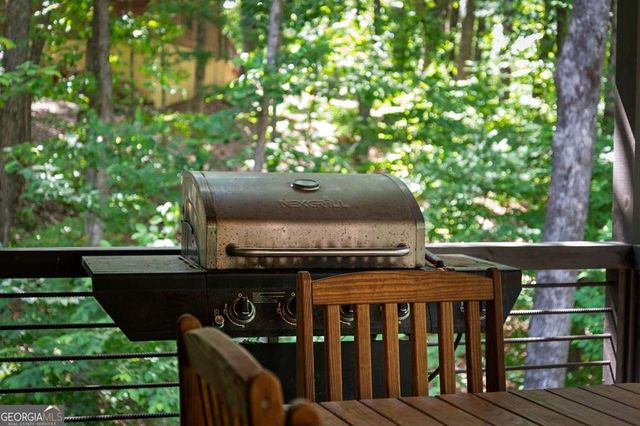 391 Little Bushy Head Road, Blue Ridge, GA 30513