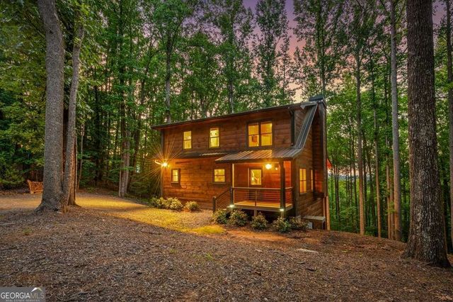 391 Little Bushy Head Road, Blue Ridge, GA 30513