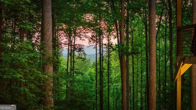 391 Little Bushy Head Road, Blue Ridge, GA 30513