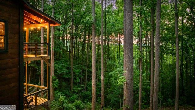 391 Little Bushy Head Road, Blue Ridge, GA 30513