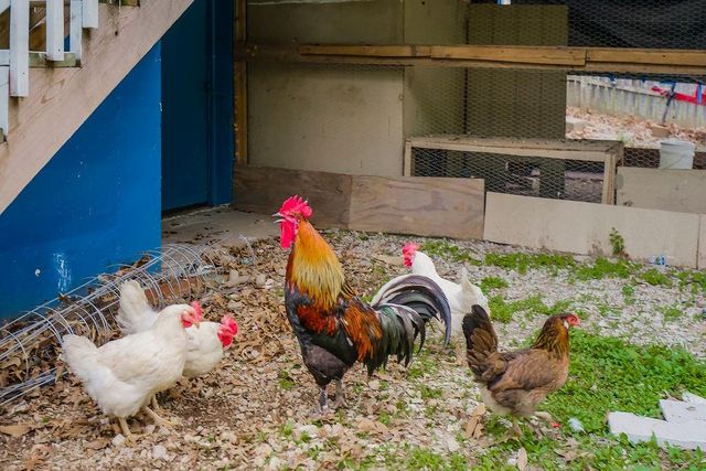 433 S 76TH Street, Kansas City, KS 66111