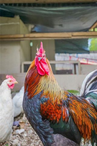 433 S 76TH Street, Kansas City, KS 66111