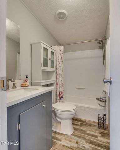 241 Forest Road, Mosheim, TN 37818