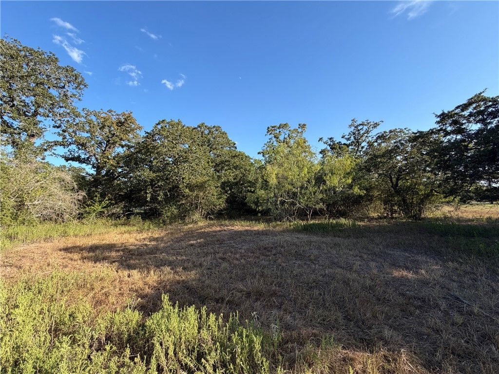 Lot 4 Little Brave Trail, College Station, TX 77845 — photo 2