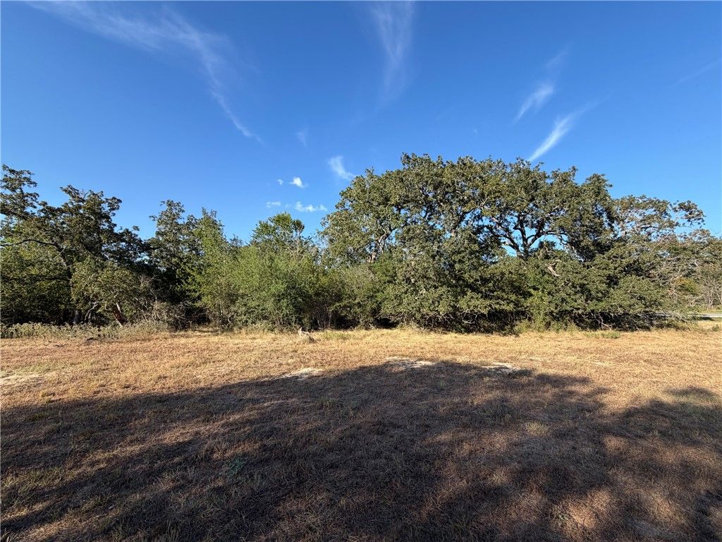 Lot 4 Little Brave Trail, College Station, TX 77845 — photo 3