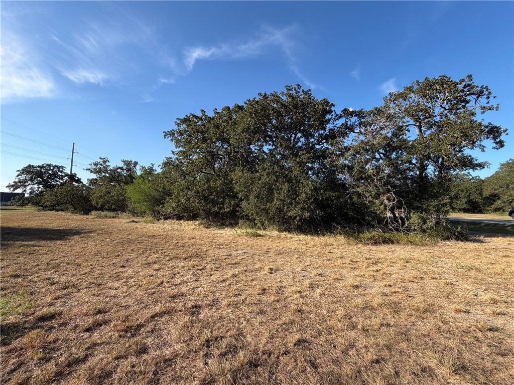 Lot 4 Little Brave Trail, College Station, TX 77845 — photo 4