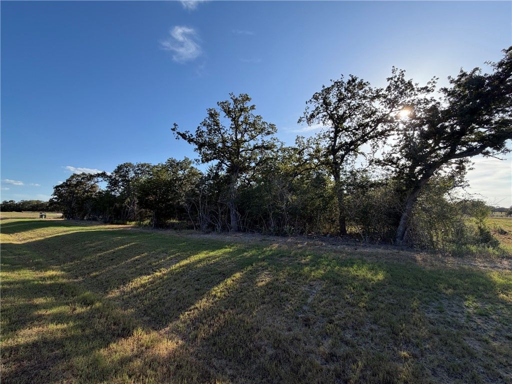Lot 4 Little Brave Trail, College Station, TX 77845 — photo 5
