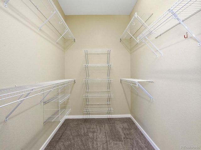 5697 Gore Range Court, Golden, CO 80403