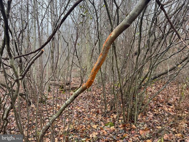 3014 PEACH ORCHARD ROAD, Mcconnellsburg, PA 17233