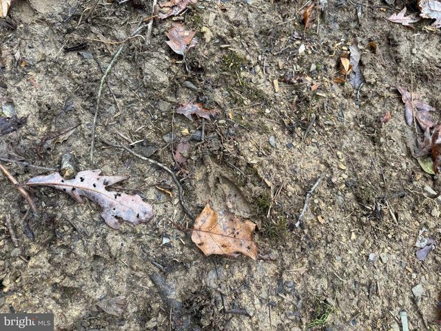 3014 PEACH ORCHARD ROAD, Mcconnellsburg, PA 17233