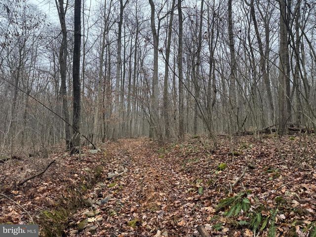 3014 PEACH ORCHARD ROAD, Mcconnellsburg, PA 17233