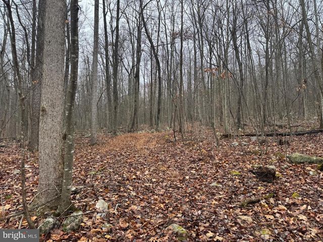 3014 PEACH ORCHARD ROAD, Mcconnellsburg, PA 17233