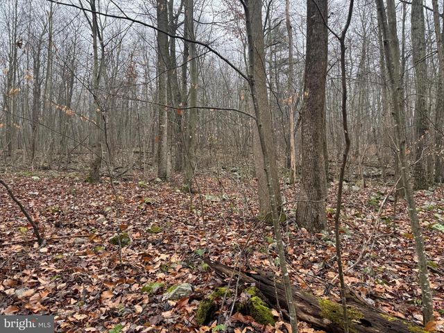 3014 PEACH ORCHARD ROAD, Mcconnellsburg, PA 17233