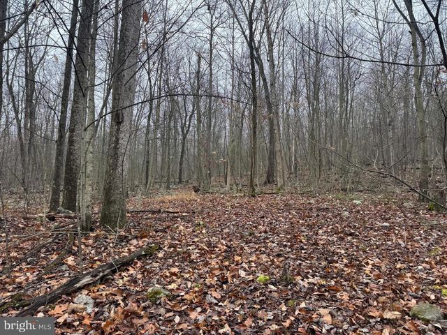 3014 PEACH ORCHARD ROAD, Mcconnellsburg, PA 17233