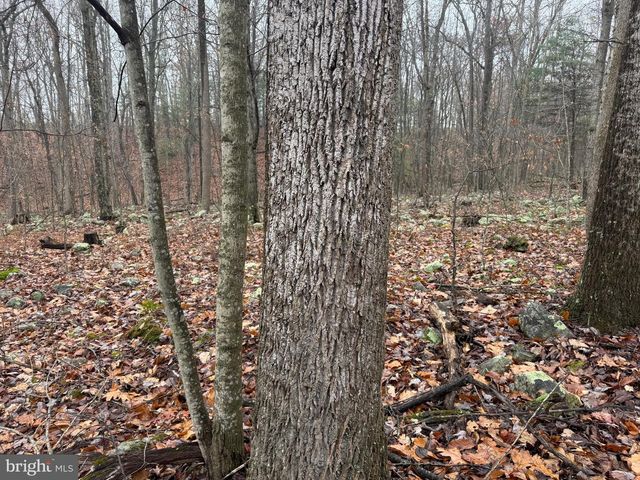 3014 PEACH ORCHARD ROAD, Mcconnellsburg, PA 17233