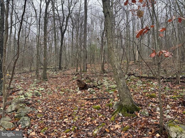 3014 PEACH ORCHARD ROAD, Mcconnellsburg, PA 17233