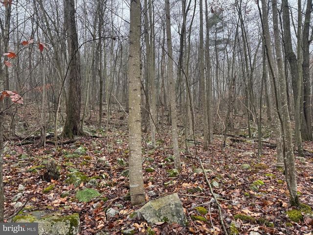 3014 PEACH ORCHARD ROAD, Mcconnellsburg, PA 17233