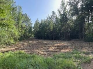 TBD Mcclain Road, Liberty, MS 39645