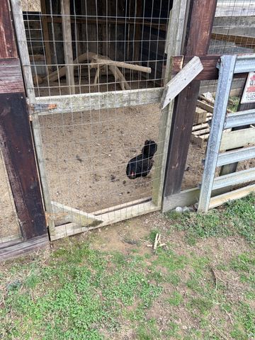 1824 Blackburn Ln, Spring Hill, TN 37174