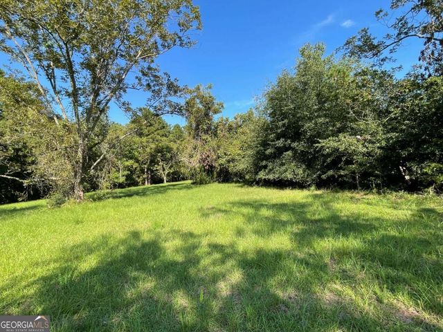 220 Strickland Street, Reidsville, GA 30453