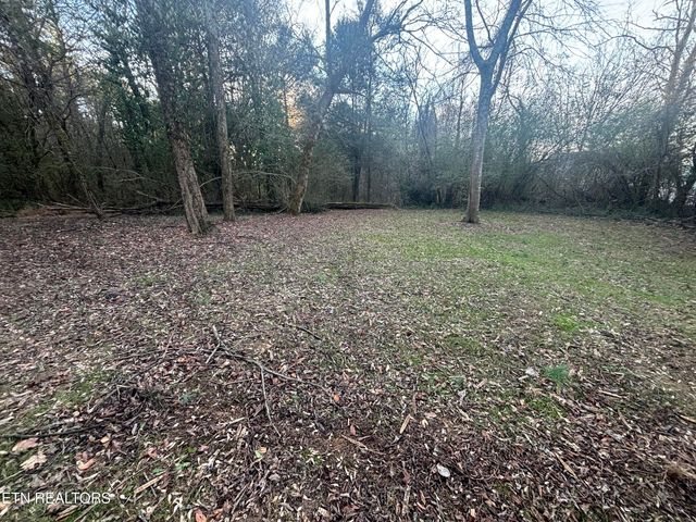 1110 E Hendron Chapel Rd, Knoxville, TN 37920