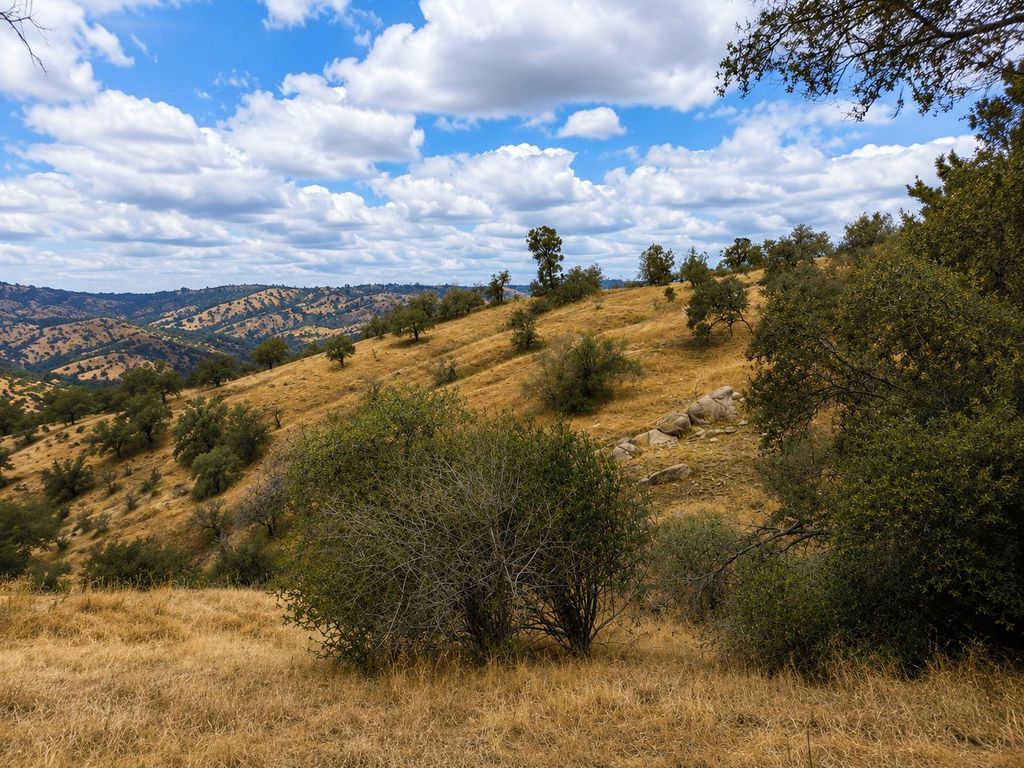 Image 4 of property listing at 1 Lilley Mountain Court, Coarsegold, CA 93614