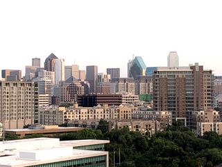 3225 Turtle Creek Boulevard 1220, Dallas, TX 75219