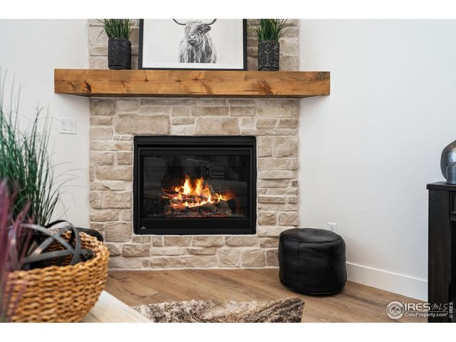 838 Loess Ln, Windsor, CO 80550