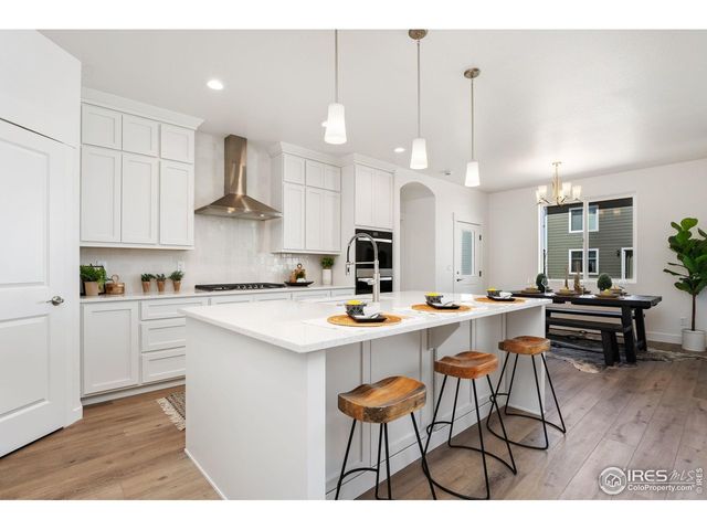 838 Loess Ln, Windsor, CO 80550