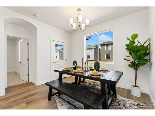 838 Loess Ln, Windsor, CO 80550