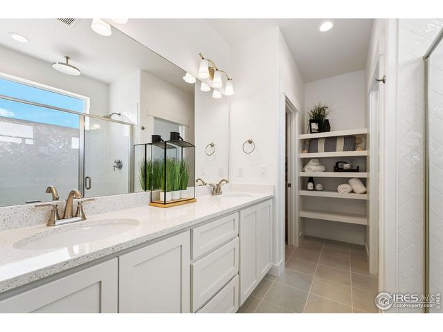 838 Loess Ln, Windsor, CO 80550