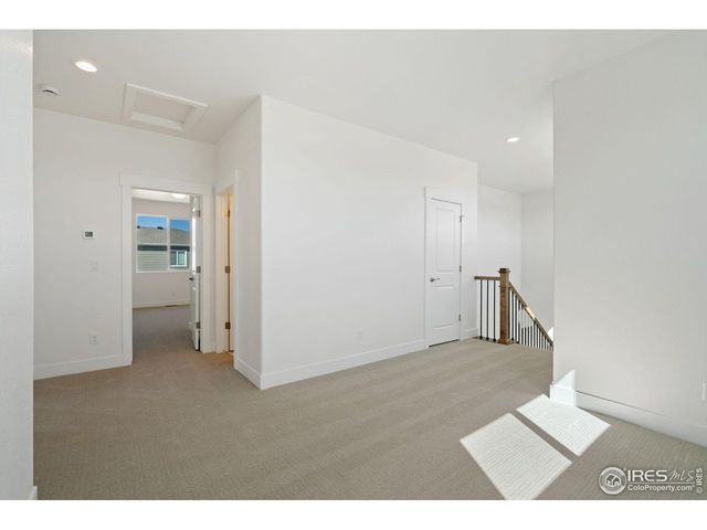 838 Loess Ln, Windsor, CO 80550