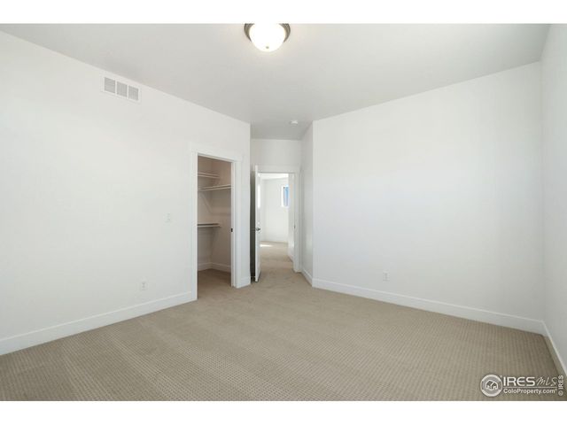 838 Loess Ln, Windsor, CO 80550