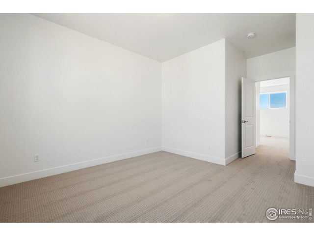 838 Loess Ln, Windsor, CO 80550